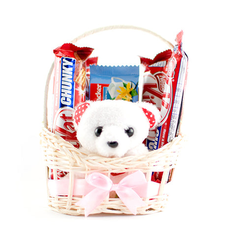Chocolate basket with teddy bear